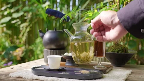 Brewed greentea is poured into small white teacup. Stock Footage 347245678