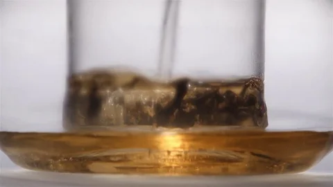 Brewed leaves of black leaf tea. Time lapse, close ups Stock Footage 73770063