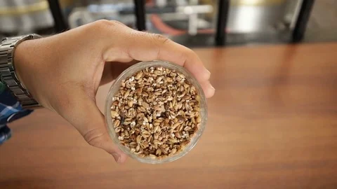 Brewer-hand-holding-barley-malt-grist-in-a-glass Stock Footage 85001696