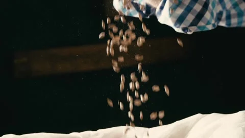 Brewer Inspecting Barley Malt for Beer Production in Slow Motion Stock Footage 335143841