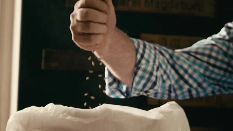 Brewer Inspecting Barley Malt for Beer Production in Slow Motion Stock Footage 335143879