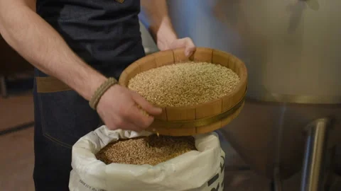 Brewer with malt on the background of the brewery Stock Footage 99981927
