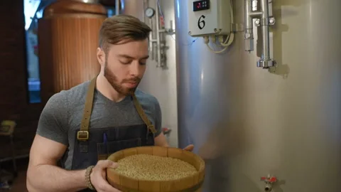 Brewer with malt on the background of the brewery Stock-Footage 101429778