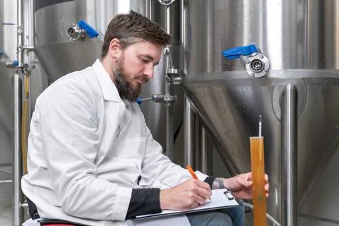 Brewer measuring pH in beer with digital meter. Brewer measuring pH in bee... Stock Photos