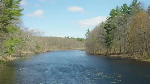 BrewerPond-NewEngland-LateApril-Wind Stock Footage