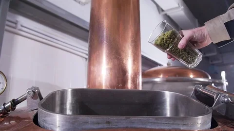 Brewery concept. Ingredient for beer. Fragrant hop granules. Glass full of hop Stock Footage 120694209