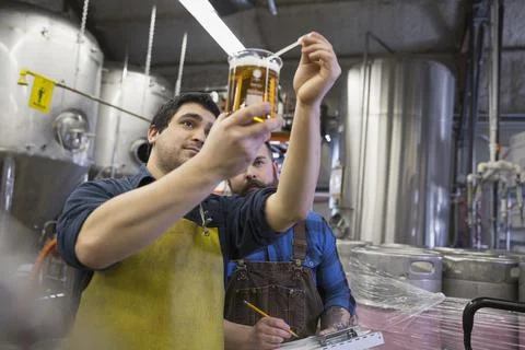Brewery workers examining beer in beaker Stock Photos