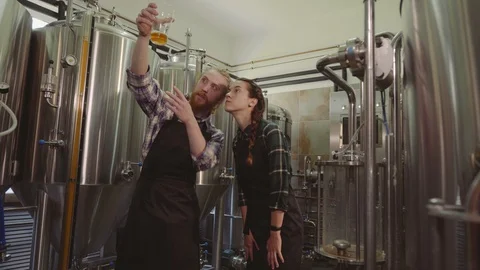 Brewery workers looking at freshly made beer in glass tube and discussing it Stock Footage 115916457