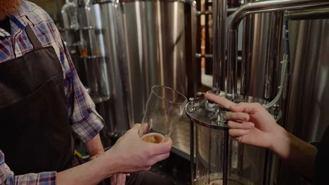 Brewery workers looking at freshly made beer in glass tube and discussing it Stock Footage 115916805