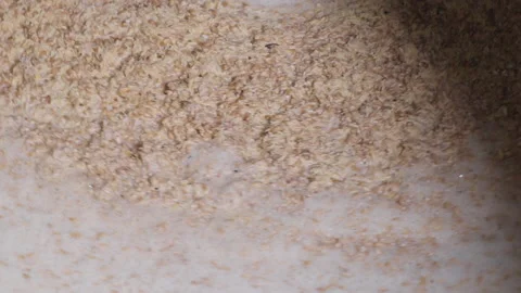 Brewing the barley grains using the industrial equipment for beer production Stock Footage 182004387