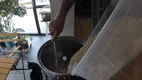 Brewing Beer at Home Stock Footage 162855255