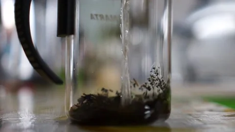 Brewing of black tea Stock Footage 74563058