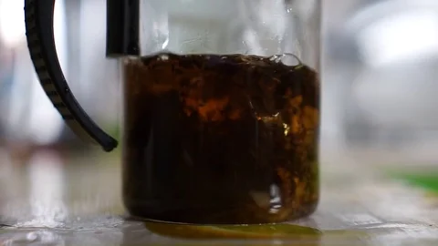 Brewing of black tea Stock Footage 74563512