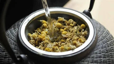 Brewing chamomile tea pouring hot water into a cast iron tea pot Stock Footage 144688256