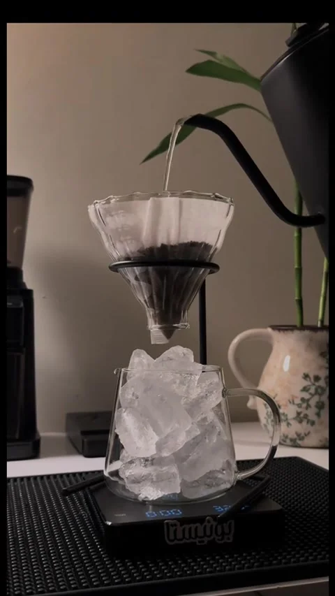 Brewing coffee drinks Stock Footage 316589197