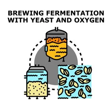 Brewing fermentation process for beverage production Stock-Illustration