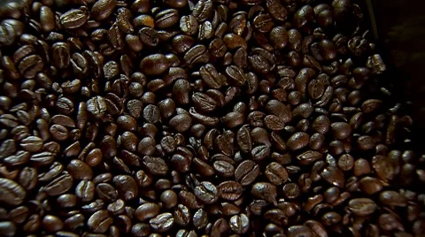 Brewing fresh coffee, coffee beans Stock Footage 8832831