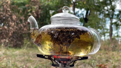Brewing fresh tea in glass teapot on portable camping stove outdoors Video stock 345610643