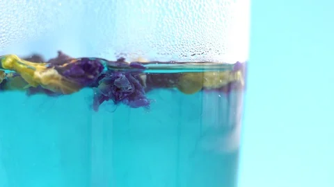 Brewing herbal tea in a glass cup Stock Footage 121655682