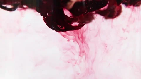 Brewing of hibiscus tea against white background Stock Footage 153227850