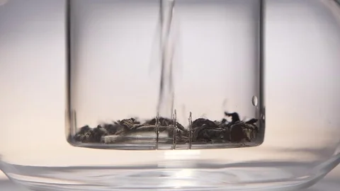 Brewing leaf tea in a transparent glass kettle. Close ups Stock Footage 73852596