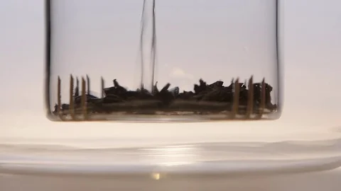 Brewing leaf tea in a transparent glass teapot. Slow motion Stock Footage 73853360