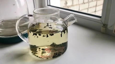 Brewing loose leaf tea glass teapot Stock Footage 332947974