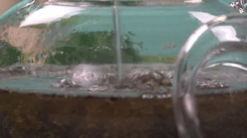 Brewing tea Stock Footage 94808613