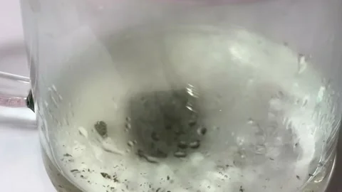 Brewing tea in a glass teapot Stock Footage 144467233