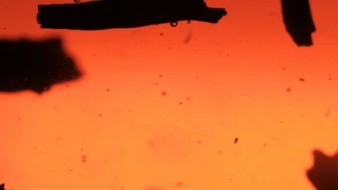 Brewing tea in hot water. Slow motion. Stockbeeldmateriaal 132286904
