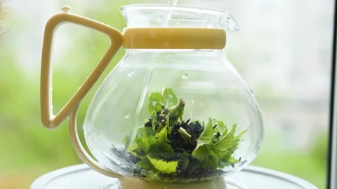 Brewing tea with leaves of currant, lemon balm, mint, raspberry in a glass Stock Footage 130867663
