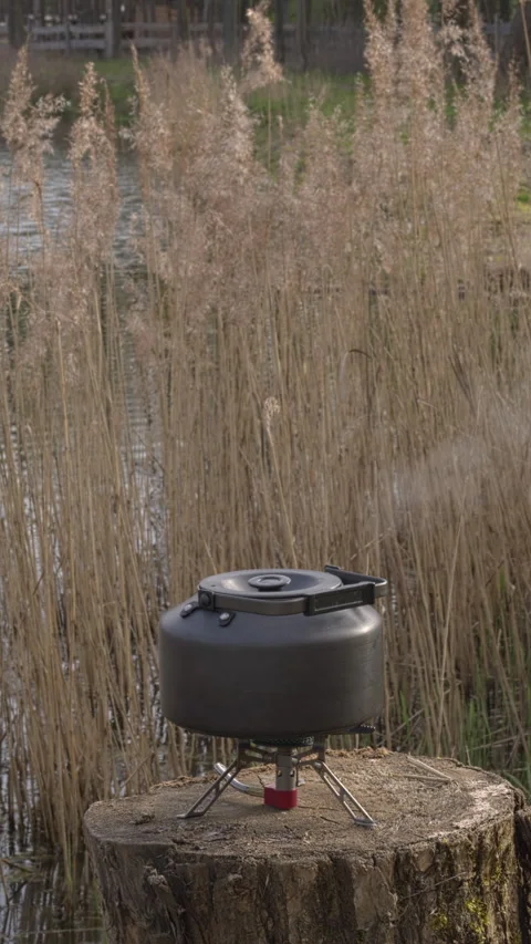 Brewing tea by the pond. Vertical video. Stock Footage 277539093