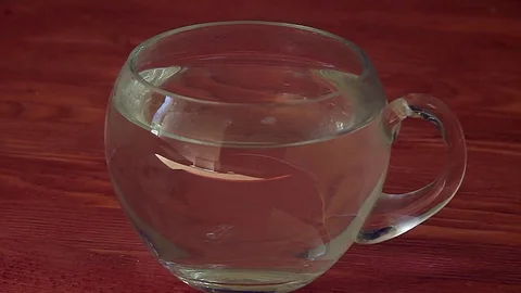 Brewing tea a transparent cup Stock Footage 74849043