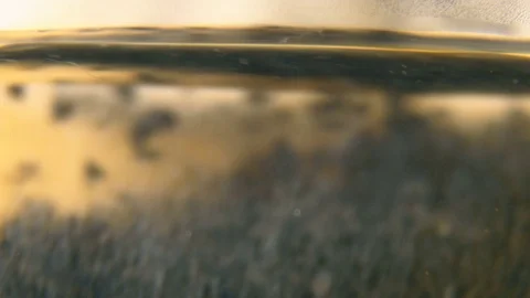 Brewing tea in the transparent cup. Macro, close-up 4k video Stockbeeldmateriaal 69964686