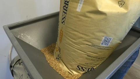 Brewmaster pours a bag of malt into hopper at a microbrewery. Stock Footage 99597439