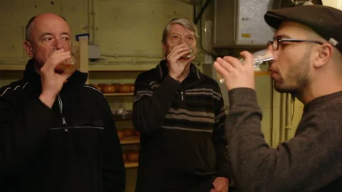 Brewmasters Tasting and Quality Checking Artisanal Craft Beer inside Brewery Stock Footage 346768064