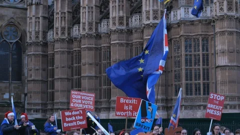 Brexit protest march and demonstration in London Video stock 100989408