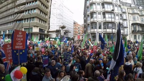 Brexit protest march crowd 01 (23rd March 2019) Video stock 105104034
