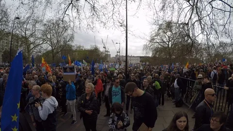 Brexit protest march crowd 02 (23rd March 2019) Video stock 105104104