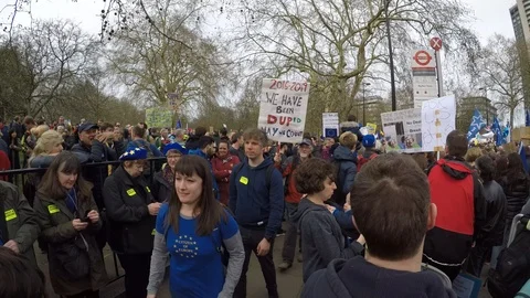 Brexit protest march crowd 03 (23rd March 2019) Stock Footage 105104115