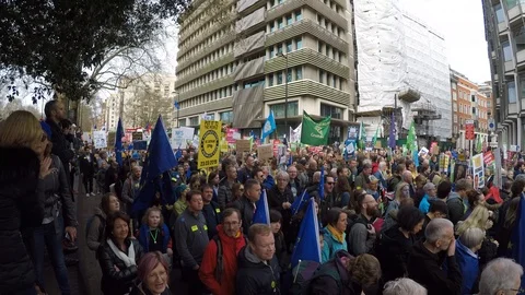 Brexit protest march crowd 04 (23rd March 2019) Stock Footage 105104278