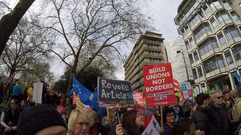Brexit protest march crowd 05 (23rd March 2019) Video stock 105104352
