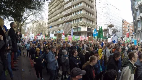Brexit protest march crowd 06 (23rd March 2019) Video stock 105104583