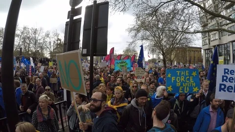 Brexit protest march crowd 07 (23rd March 2019) Video stock 105104805