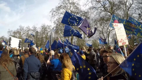 Brexit protest march, EU flags amongst the crowd (23rd March 2019) Stock Footage 105104864