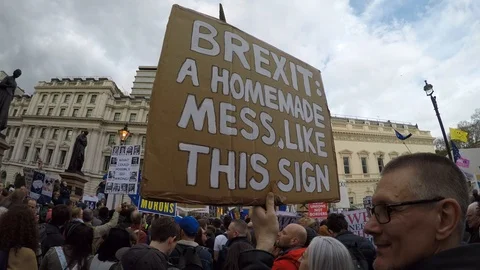 Brexit protest march, signs &amp; banners 11 "A Homemade Mess" Stock Footage 105105853