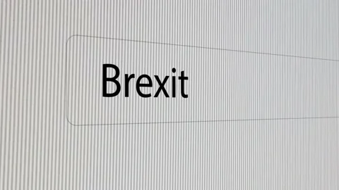 Brexit Typing Text Box Layout Web Database Browser Engine Concept Stock Footage 167303774