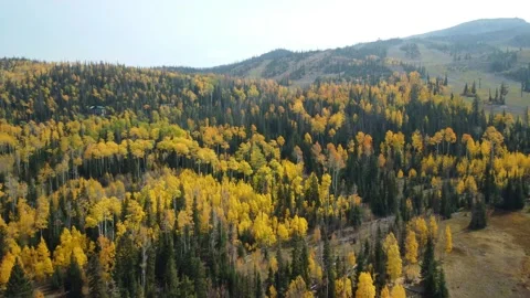 Brian Head, Utah. Stock Footage 162422124