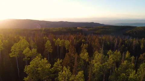 Brian Head, Utah Video stock 254749433