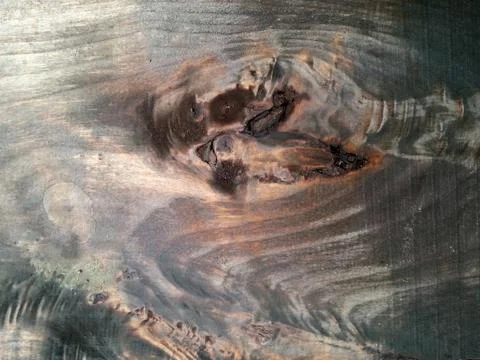 Briar-root Stock Photos